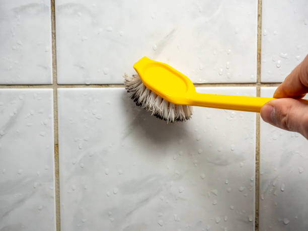 Best Affordable Mold Removal  in La Marque, TX