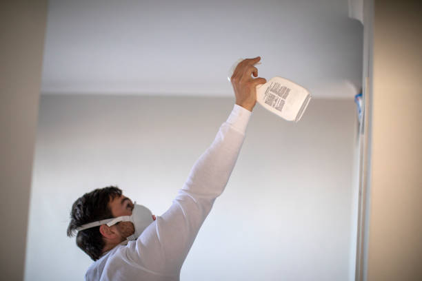 Attic Mold Removal in La Marque, TX