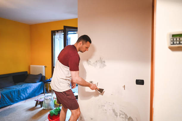 Best Best Mold Removal Companies  in La Marque, TX
